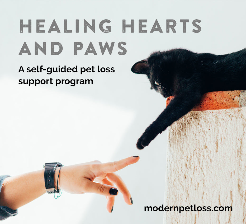Self-guided Pet Loss Support Program (e-course) with Candle