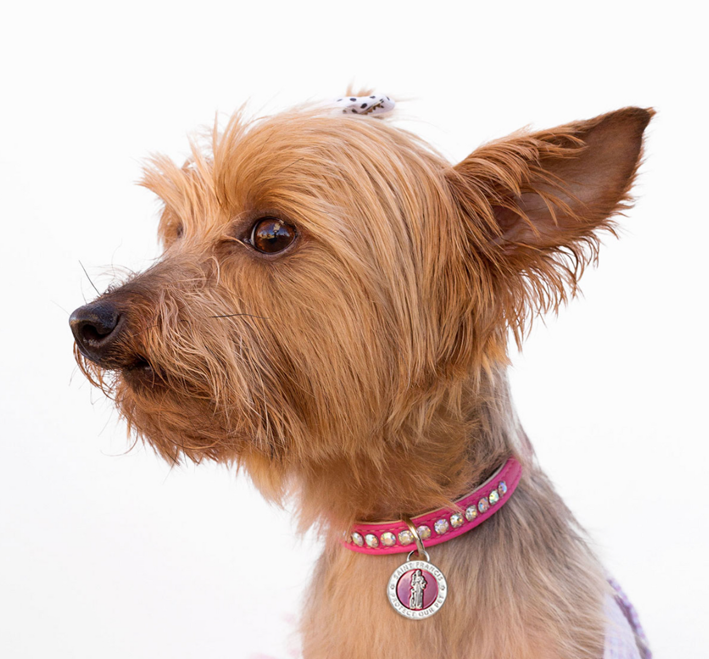 Pet Charm Small Saint Francis of Assisi, Pink