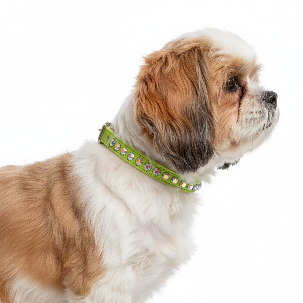 Green dog collar with rhinestone embellishments on a white background